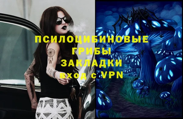 spice Кодинск
