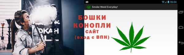 spice Кодинск