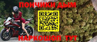 индика Дубна