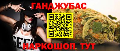 индика Дубна