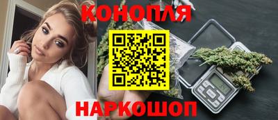 индика Дубна