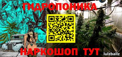 индика Дубна