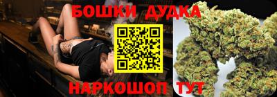 индика Дубна