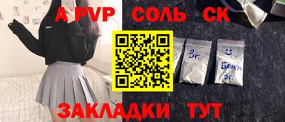 индика Дубна