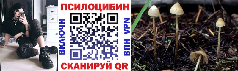 закладки  Пенза  Псилоцибиновые грибы GOLDEN TEACHER 