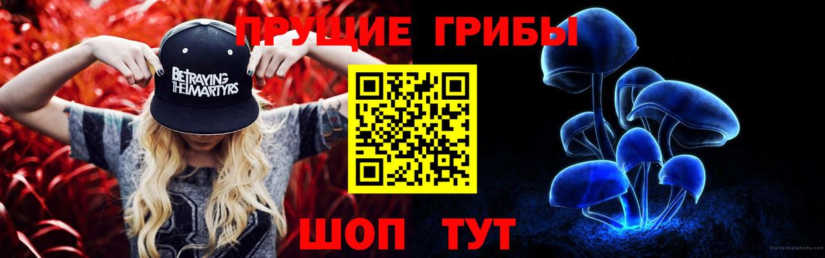 Галлюциногенные грибы GOLDEN TEACHER  хочу   Вход с VPN  Пенза  Галлюциногенные грибы GOLDEN TEACHER 