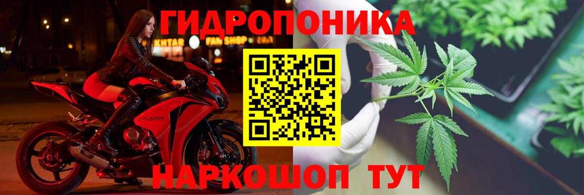 МАРИХУАНА планчик  Конопля ГИДРОПОН  Пенза  Бошки Шишки OG Kush 